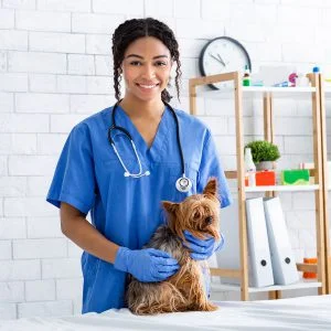 Annual Membership  - Veterinarian